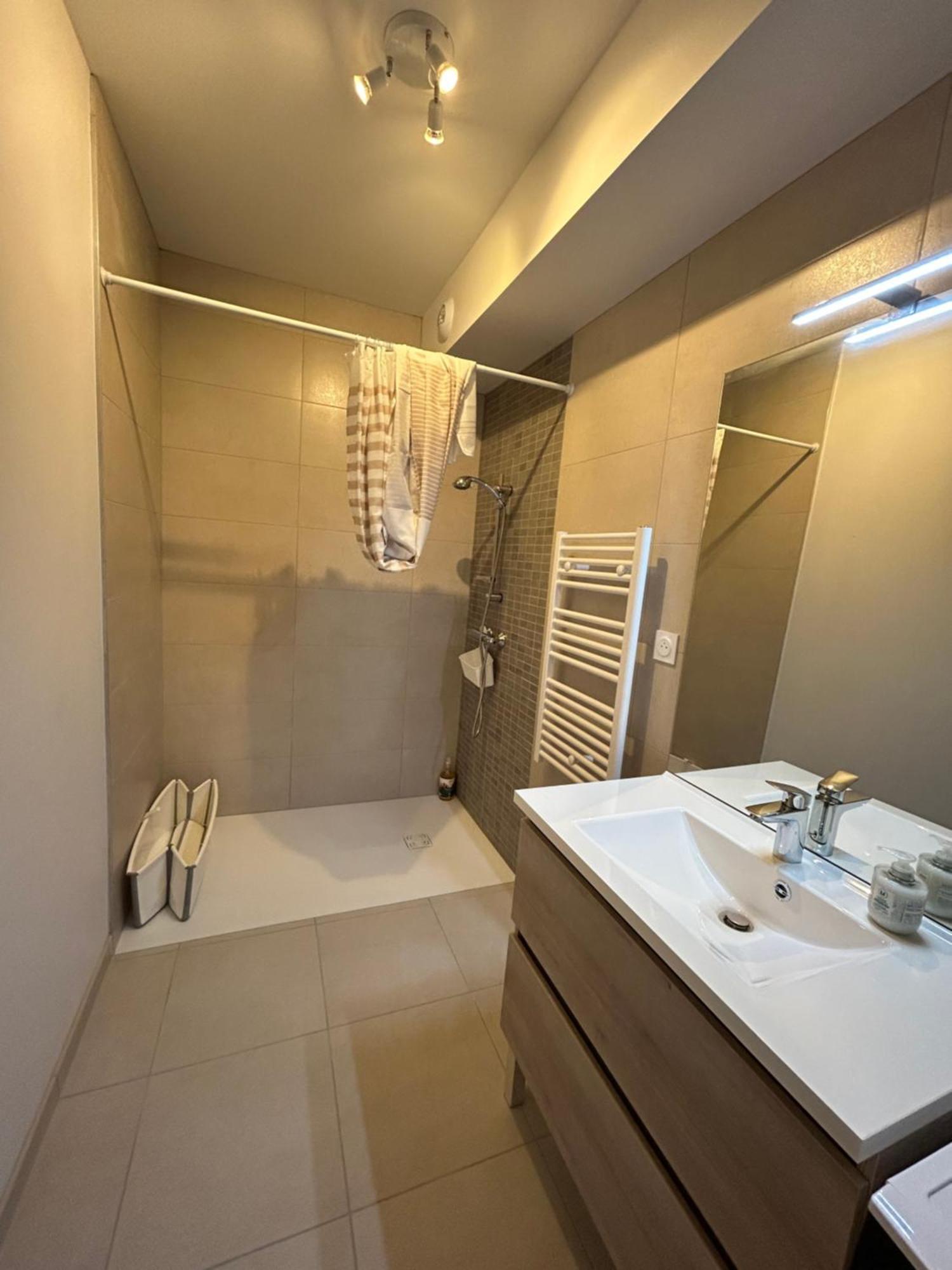 Appartement Avec Jardin Chateauneuf-de-Galaure 외부 사진
